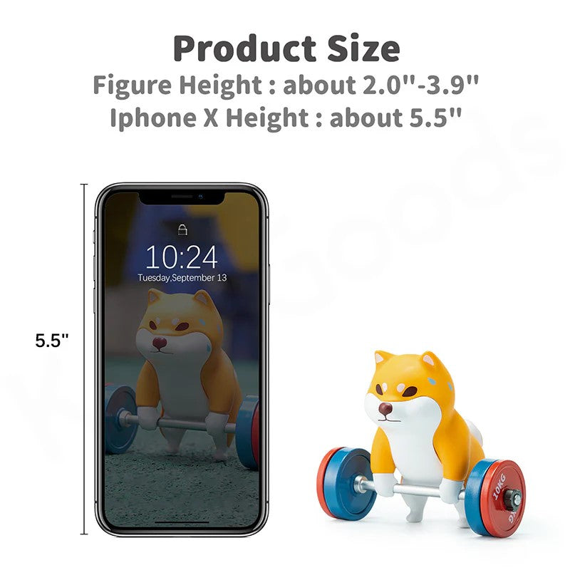 Kuraya Shiba - Tourshiba 2nd Version