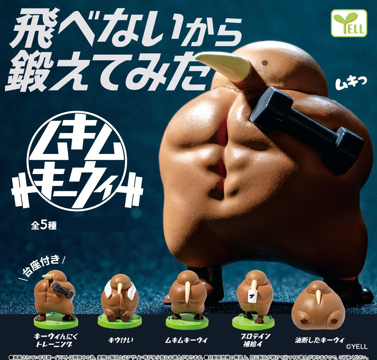 Muscular Kiwi
