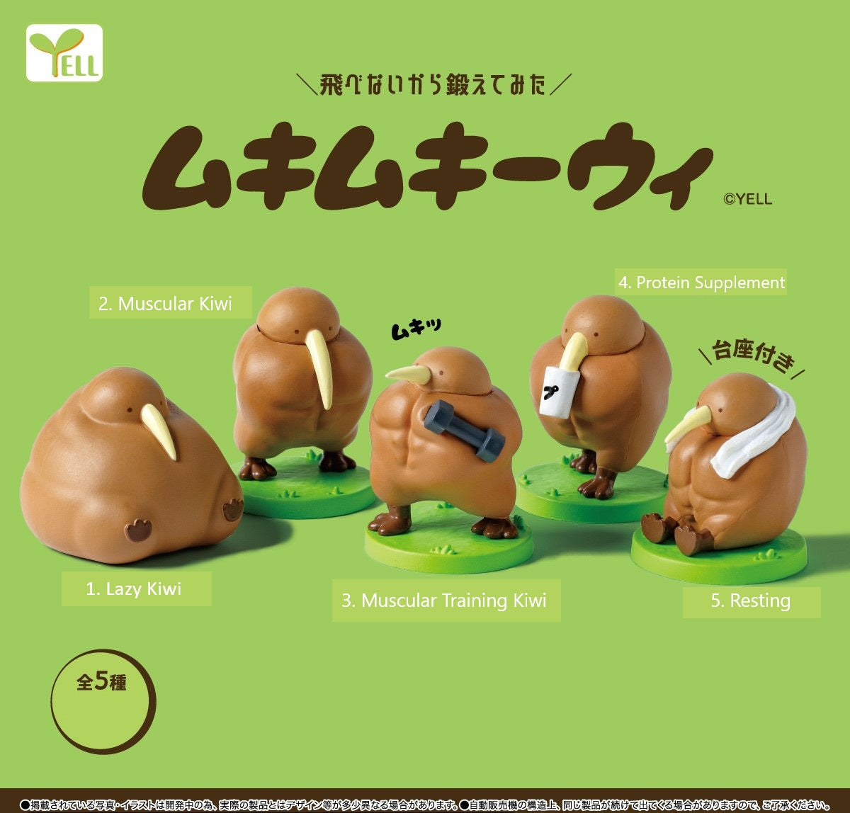 Muscular Kiwi