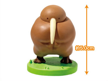 Muscular Kiwi