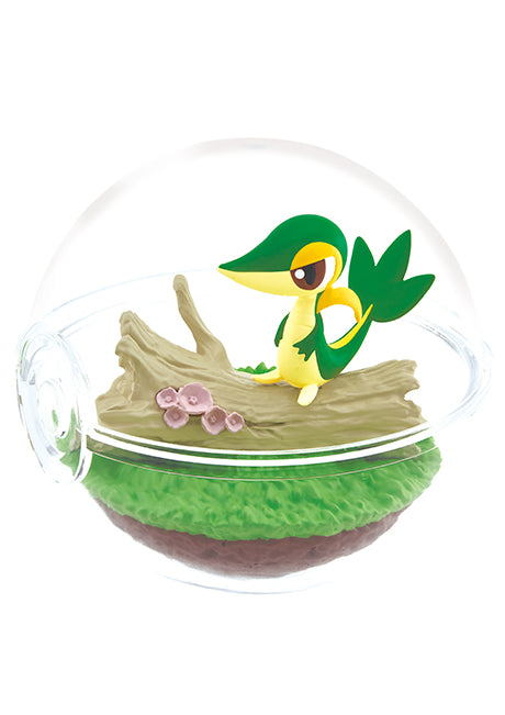 Pokemon Terrarium Collection 12