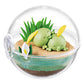 Pokemon Terrarium Collection - Happy Everyday