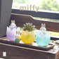 miffy and Tulip Series
