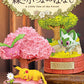 Pokemon A Little Tale of the Forest