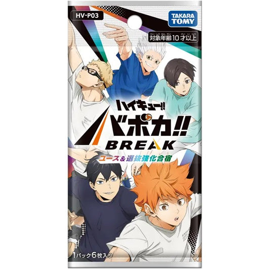 HV-P03 Haikyu!! Baboka!! BREAK - Youth & Selection Training Camp