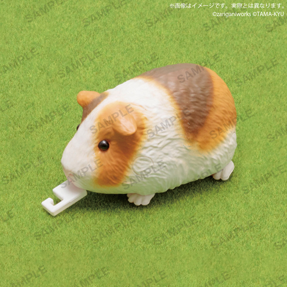 Guinea Pig and Grass Measuring Tape Toy