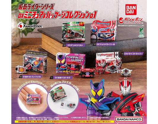 Kamen Rider Series DX Miniature & Package Collection 01