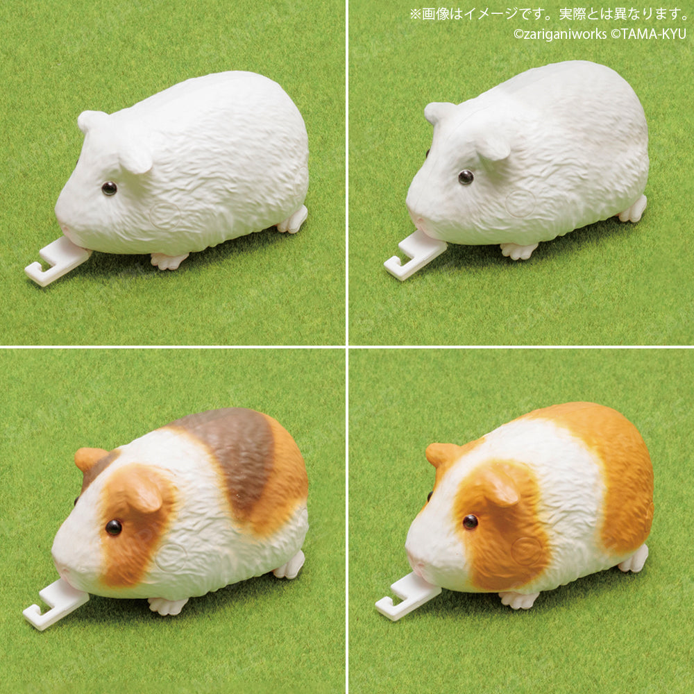 Guinea Pig and Grass Measuring Tape Toy