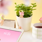 Sonny Angel HIPPERS - Cherry Blossom Series